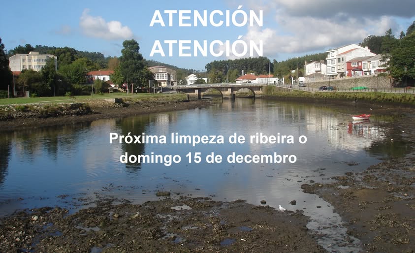 Limpeza ribeira 15/10/2024